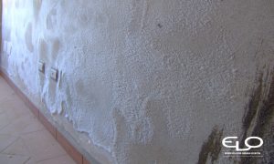 Cristalizzazione o efflorescenze presenza dei sali sui muri - efflorescenza sparsa